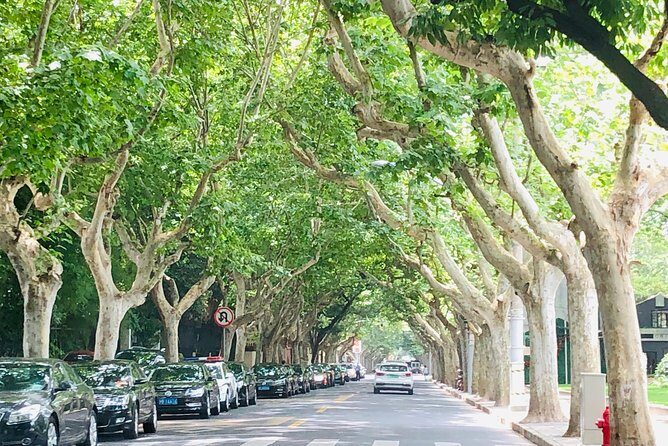 4-Hour Private Shanghai Walking Tour of Former French Concession - Fuxing Park: French-style grounds and early-morning Tai Chi energy