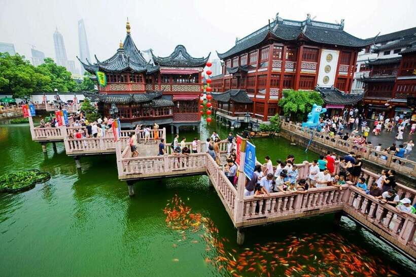 4-Hour Shanghai Best Garden and Temple Tour with Tea Tasting - Tea Tasting: More Than Just Sipping Something Warm