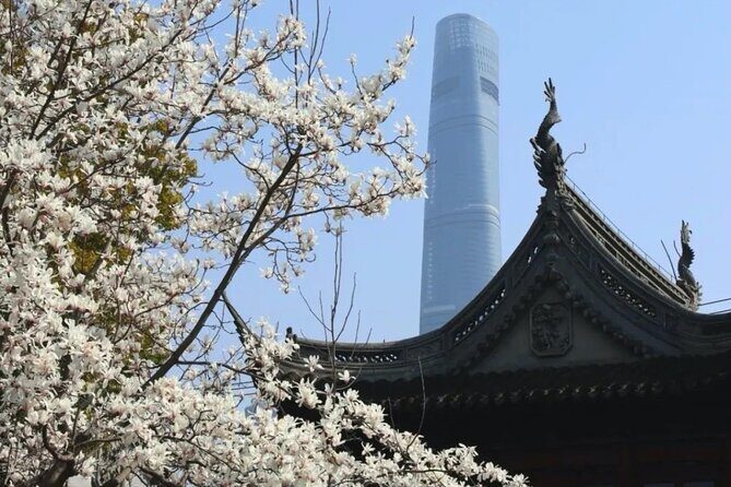 4-Hr Shanghai Layover Tour: Maglev, Wet Market, Food, Landmarks - Step aboard Maglev: the airport-to-downtown speed that changes everything