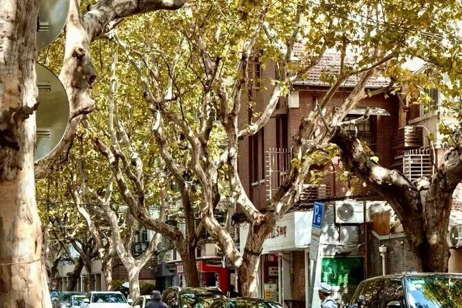 Charming Shanghai French Concession Mini-group Walking Tour - The Café Stop: Coffee or Beverage to Keep You Comfortable