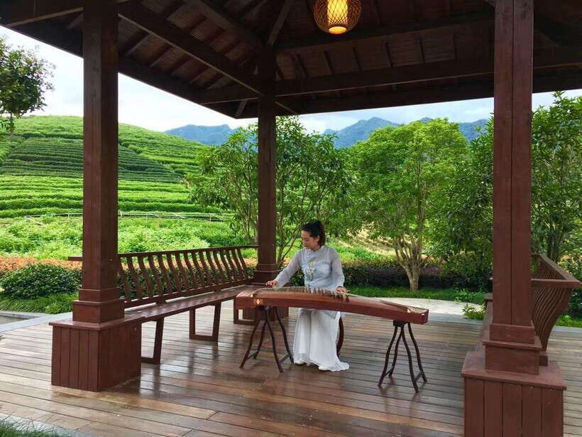 Hangzhou Private Day Trip by Bullet Train from Shanghai - Lunch in Hangzhou: Fueling the temple stop and tea time