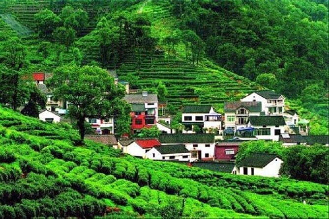 Private Guide Service - Yu Garden (Yuyuan): Ming-style garden time with extra admission to plan