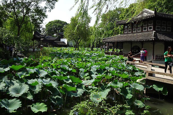 Private Suzhou Day Tour from Shanghai to Classical Gardens and Tongli Water Town - Transport, entrances, and what’s included (and what isn’t)