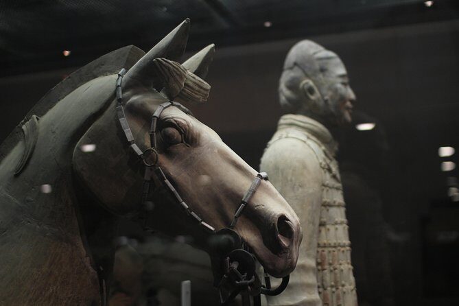 Private Tour: 2-Day/3-Day Xi'an Round-Trip from Shanghai by Air - The early-morning Shanghai to Xi’an jump (and why it works)