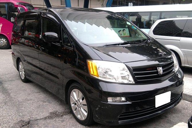 Private Transfer: Shanghai Wusongkou Cruise Terminal (Baoshan Port) to Hotel - The 2-Hour Waiting Window: Relief After Immigration Delays