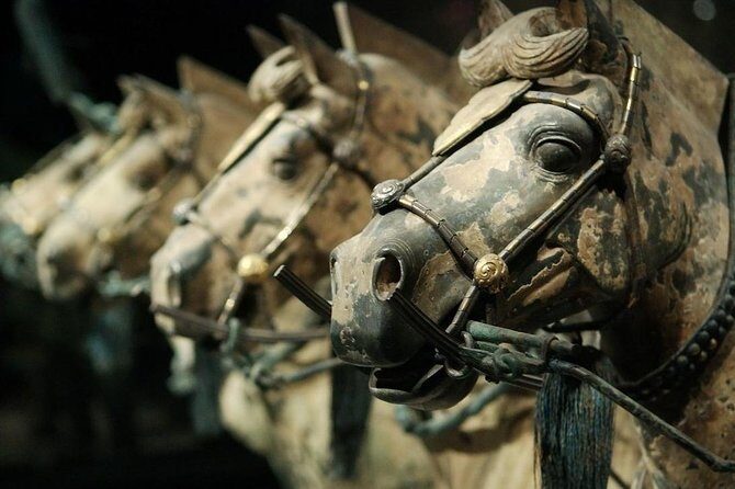 Quick Tour to Xi'an Terracotta Warriors from Shanghai by Air in One Day - Getting There From Shanghai: Flights, Private Vehicles, and Pickup That Saves Time