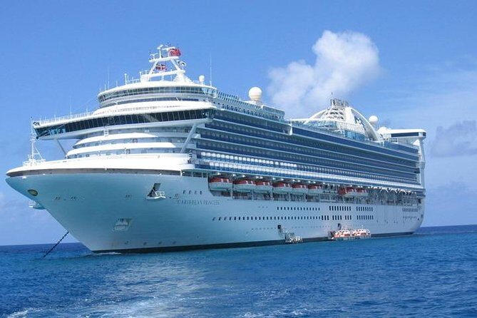Shanghai Downtown Hotel to Baoshan Cruise Port:Private with Meet & Greet service - Drop-off at Baoshan: getting to the right spot without a second plan