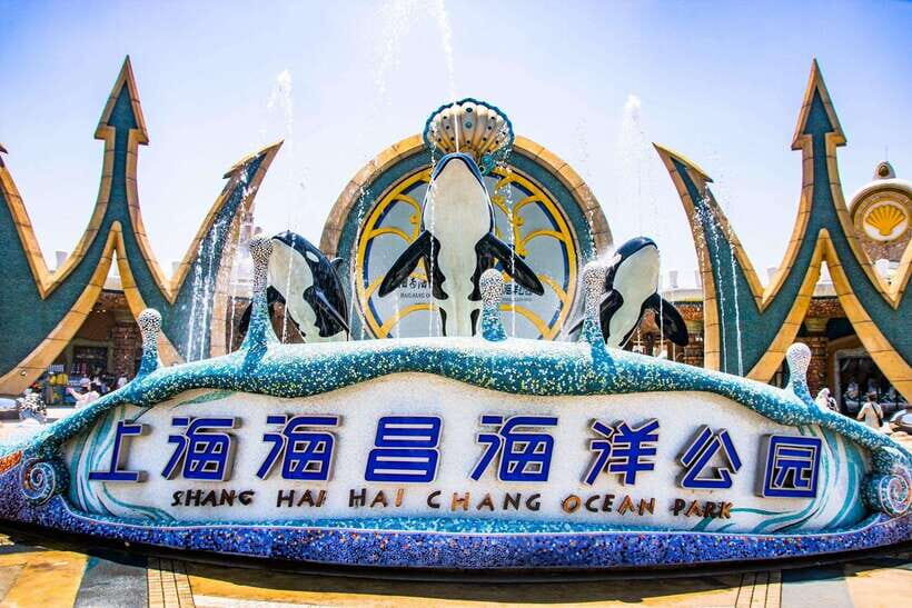 Shanghai: Haichang Ocean Park Adult Ticket - Key things that make this Haichang day ticket worth your attention