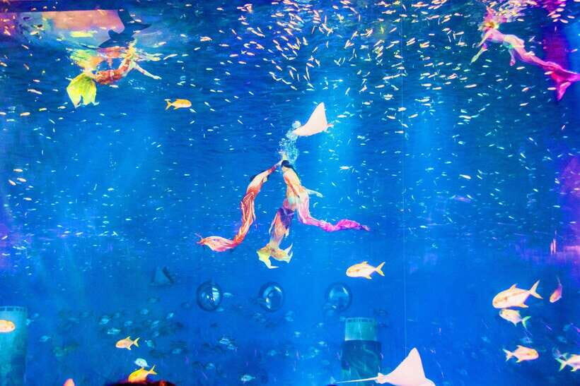 Shanghai: Haichang Ocean Park Adult Ticket - Shows at Haichang: from Orca Science to mecha-style performances
