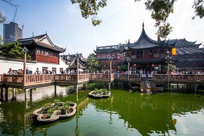 Shanghai in a Day: A Whirlwind Tour of the City's Highlights - Tea ceremony and tasting, plus a dim sum lunch that keeps the day human