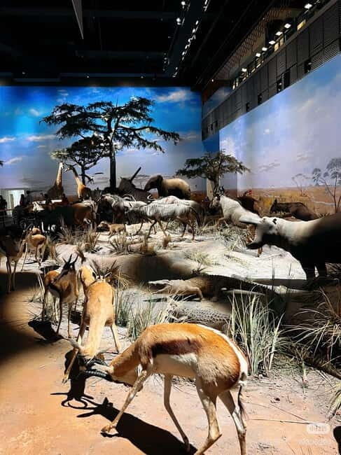 Shanghai: Natural Museum tickets with guide(optional) - Education programs: how to make the most of the Exploration Center