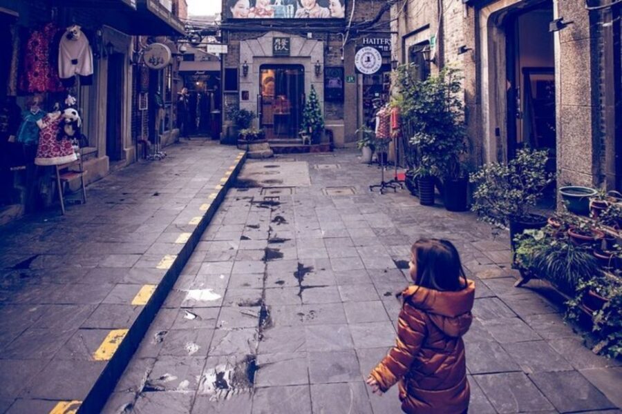 Shanghai: Private custom tour with a local guide - Walking pace and public transport legs: comfortable shoes win