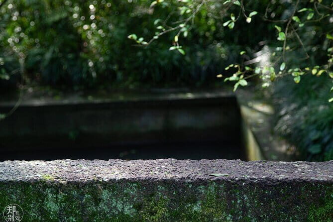Zhujiajiao Water Town and Shanghai City Highlights Private Day Tour - Jade Buddha Temple and Yu Garden: pick what fits your interest (and your wallet)
