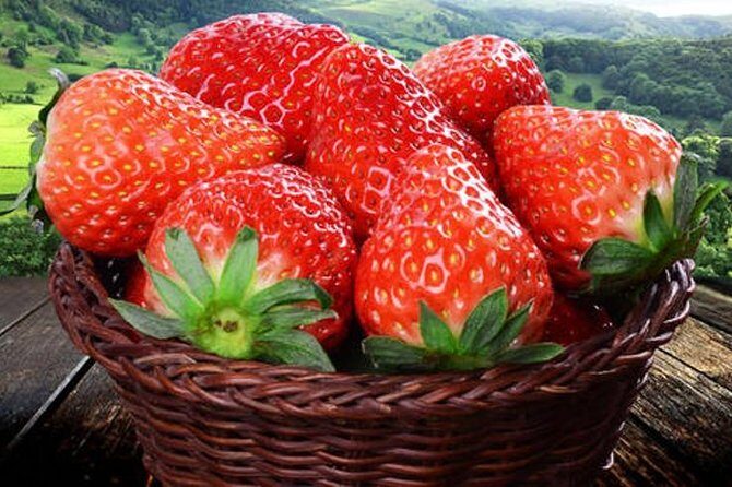 Zhujiajiao Water Town Private Tour with Local Farm Visit and Fruit Picking - Timing, Weather, and What to Pack